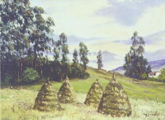 04_GAVILLAS