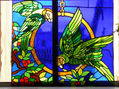 pareja de loros