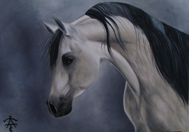 CABALLO ARABE