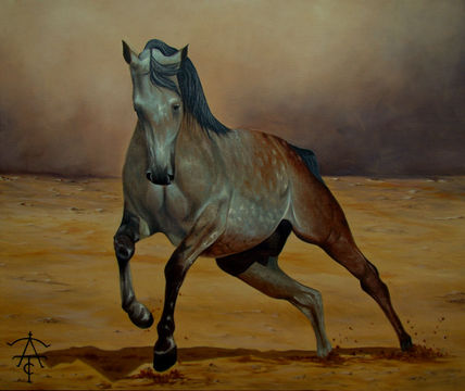 Caballo