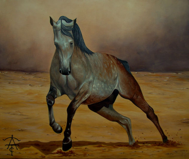CABALLO