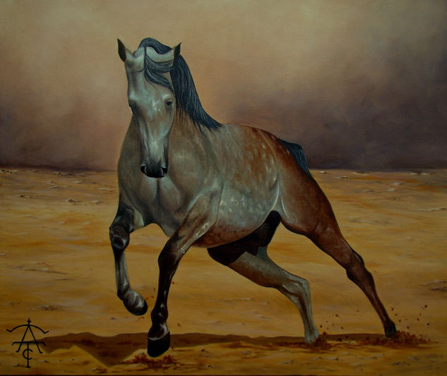 CABALLO 