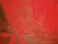 Red Drive Organicae