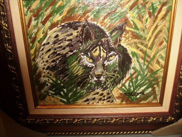 lince