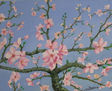 flores de almendro