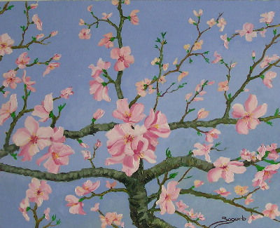 flores de almendro Oil