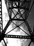 Crane