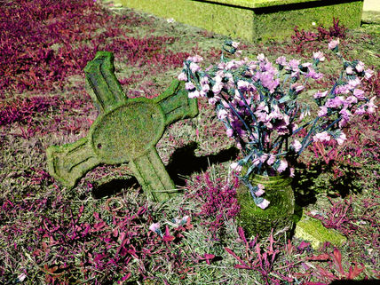 Flores y cruces