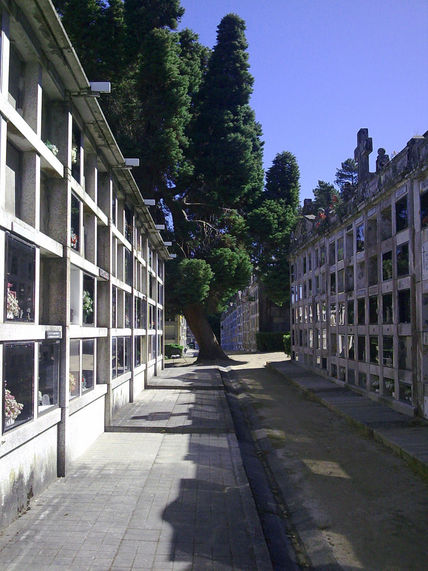 Perspectiva