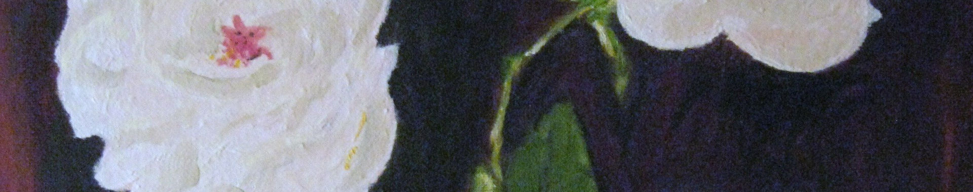 Imagen de portada