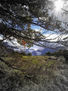 Camino a la Laguna Esmeralda