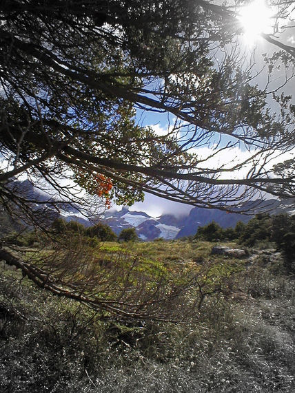 Camino a la Laguna...