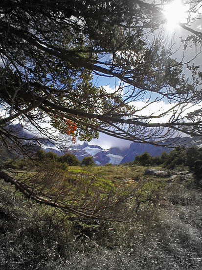 Camino a la Laguna Esmeralda Nature Color (Digital)