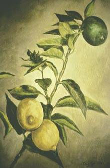 08_LIMONES