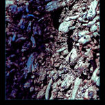 My photo-paintings thumbnail 2