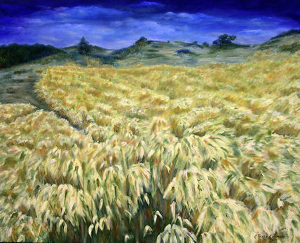 Paisaje