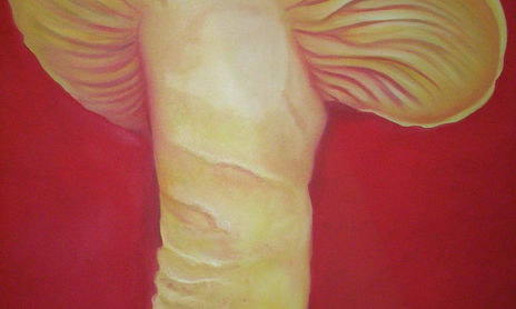 EROTISMOO SUBLIME