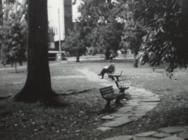 PORCO Naturaleza Blanco y Negro (Química)