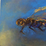 Insectos thumbnail 1