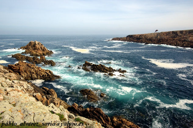 COSTA DE LA TORRE 