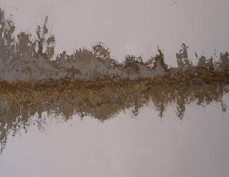 Rivage 1