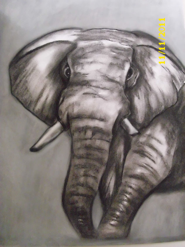 elefante