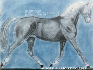 Caballo