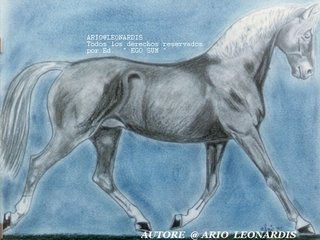 Caballo Charcoal