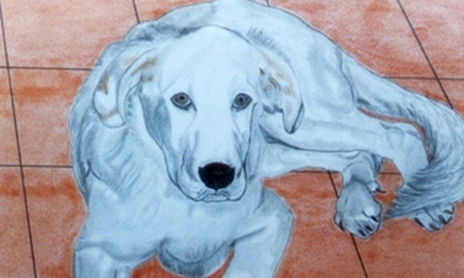 DIBUJOS