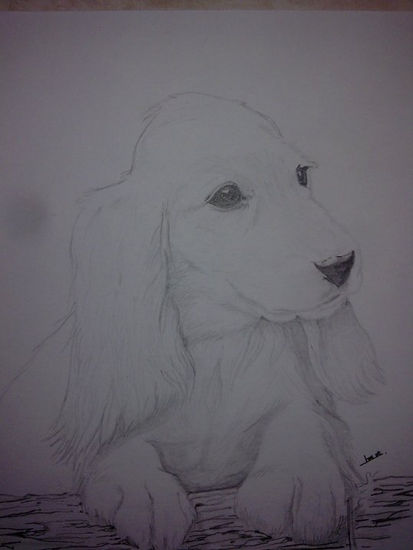 Cocker Charcoal