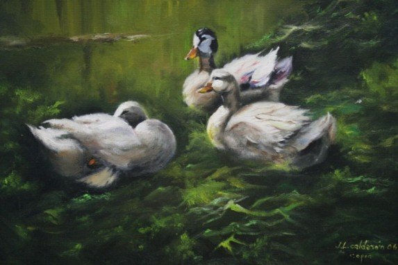 Patos Óleo Lienzo Animales