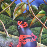 Naturaleza thumbnail 1
