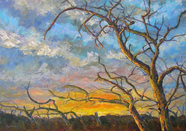 Atardecer Oil Canvas Landscaping