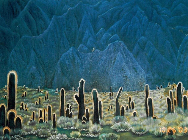 Quebrada del Toro