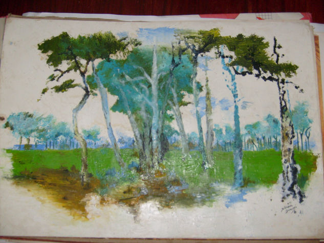 Arboles Oil Paper Landscaping