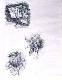 Tres rosas grises