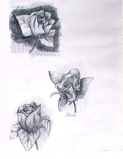 Tres rosas grises