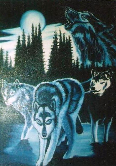 Lobos en Luna llena 