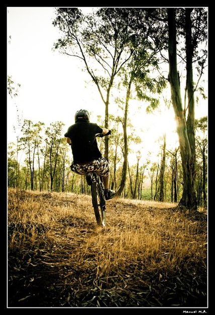 Pure bike...