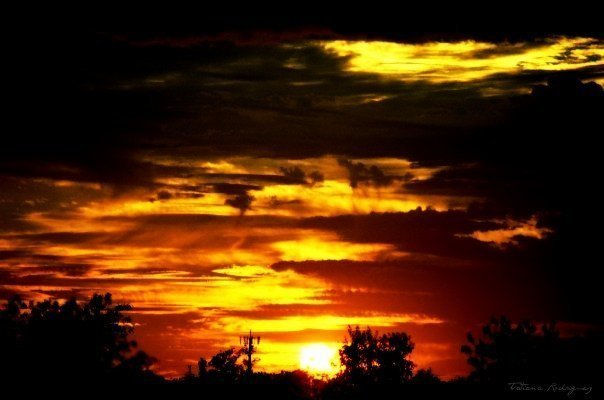 "Atardecer entre muros verdes"