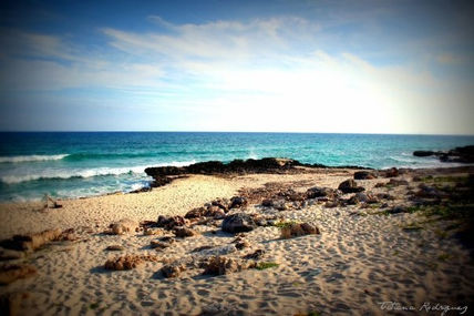 "Cozumel"