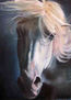 EQUUS