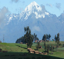 Nevado veronica