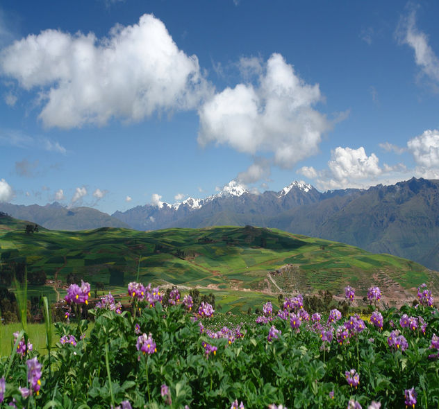 CORDILLERA DE LOS ANDES