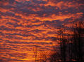 Una tarde en invierno