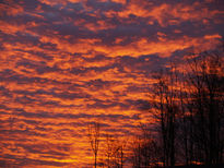 Una tarde en invierno