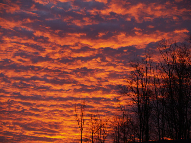 Una tarde en invierno 