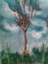 Paisaje