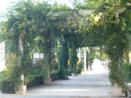 Mi jardin
