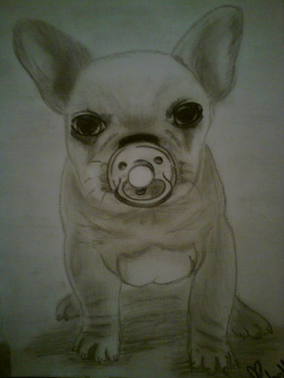 PERRITO CHIHUAHUA Pencil